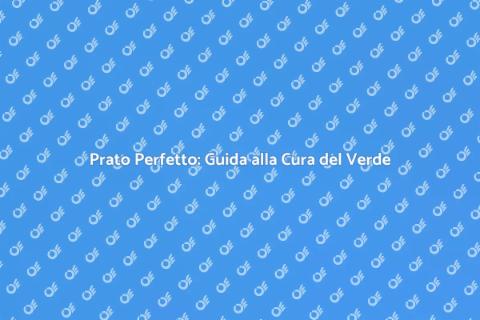 Cura del Prato: Trasforma il Tuo Giardino