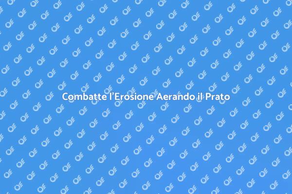 Aerazione del Prato: Proteggi il Terreno