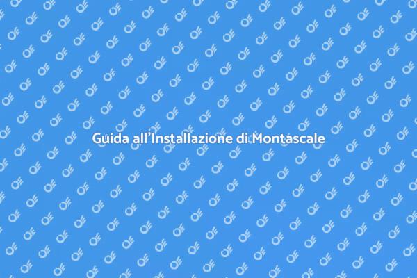 Montascale: Accessibilità su Scale Curve
