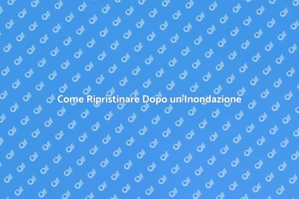 Ripristino Efficace Dopo Inondazione
