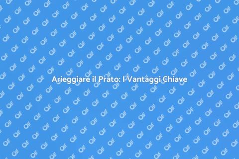 Arieggiamento del Prato: Guida Essenziale