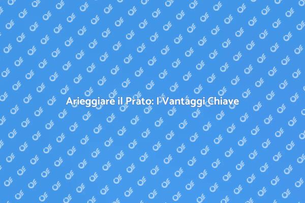 Arieggiamento: Il Segreto per un Prato Sano