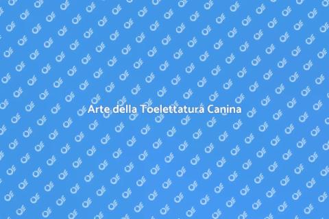 Toelettatura Cani da Esposizione