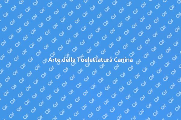 Toelettatura per Cani da Esposizione