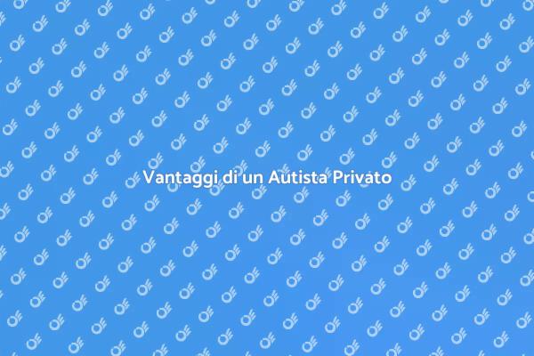 Perché Scegliere un Autista Privato?