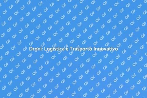 Trasporto e Logistica per Droni