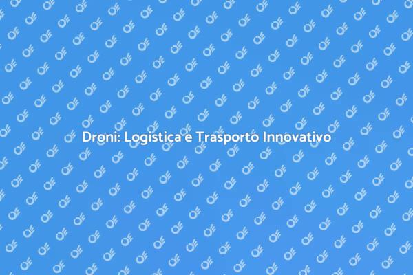 Logistica Droni: Un Nuovo Orizzonte