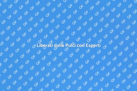 Sterminatore di Pulci: Soluzioni Efficaci