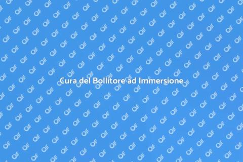 Manutenzione Bollitore ad Immersione
