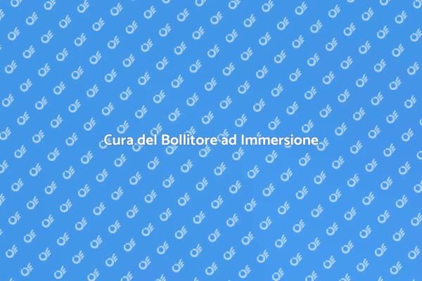 Manutenzione del Bollitore: Ecco Come!