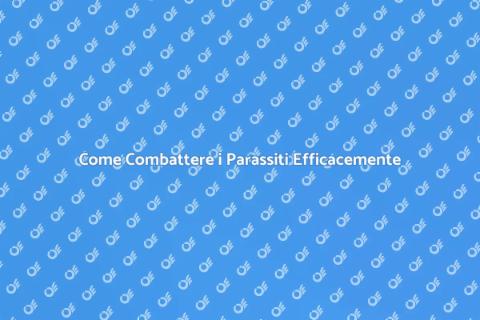 Liberarsi dei Parassiti in Casa