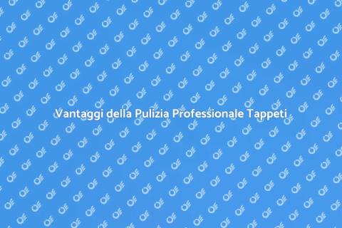 Pulizia Tappeti: Affidati ai Professionisti
