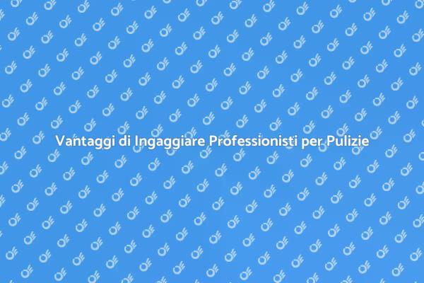 Perché Scegliere un'Impresa di Pulizie