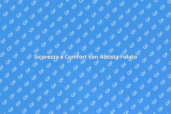 Protezione e Comfort: Il Tuo Autista Fidato