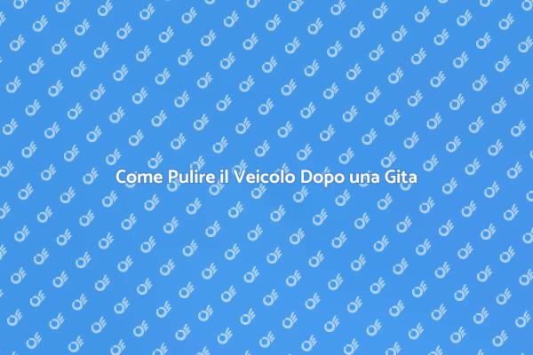 Guida alla Pulizia del Veicolo dopo Gite