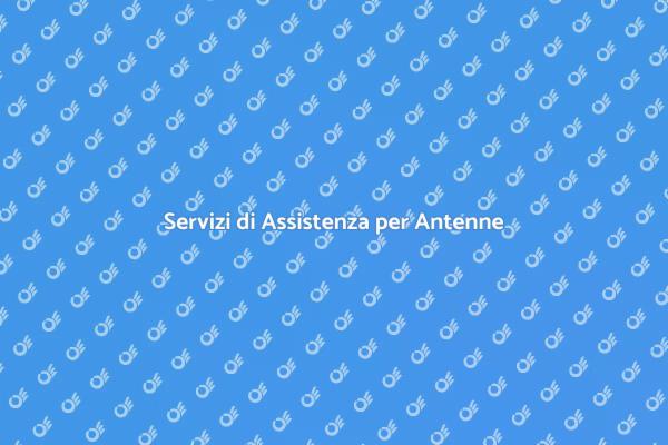 Importanza dell'Assistenza Antenne