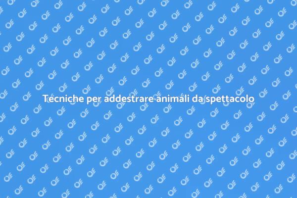 L’arte di addestrare animali da spettacolo