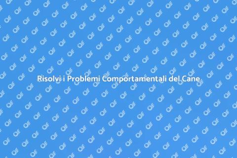 Addestramento Cani: Risolvi Problemi
