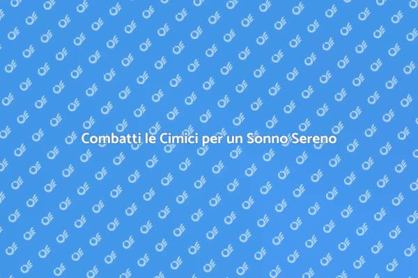 Disinfestazione Cimici per un Ambiente Sano