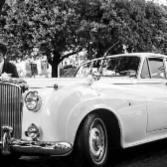 Ruggenti e Blasonate Luxury Motors l. s. e. r. l. C. - Foto 8