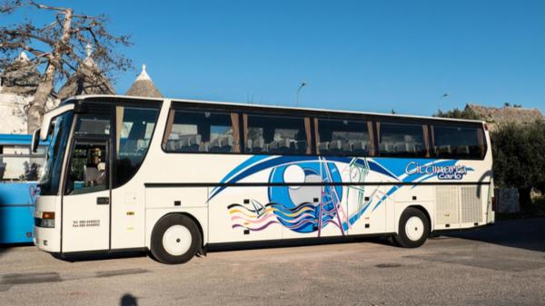 Ciccimarra Carlo e Figli Srl  - Foto 19