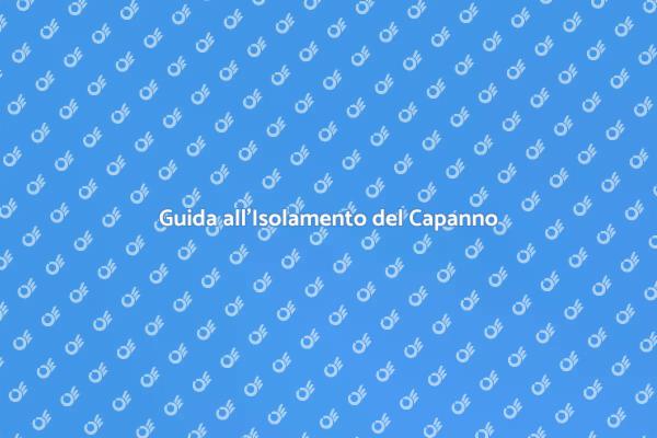 Isolamento Efficace per il Capanno