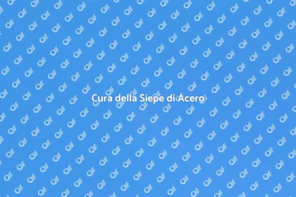 Segreti per una Siepe di Acero Sana