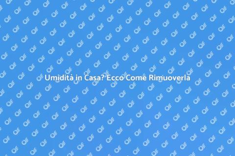 Rimuovere l'Umidità: Soluzioni Efficaci