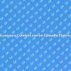 Cancello Elettrico: Protezione e Design
