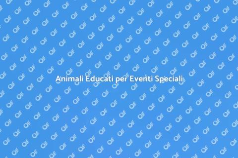Educare Animali per Inaugurazioni