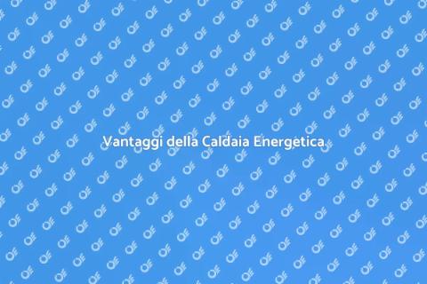 Caldaia a Basso Consumo Energetico