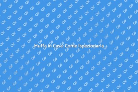 Ispezionare la Muffa in Casa