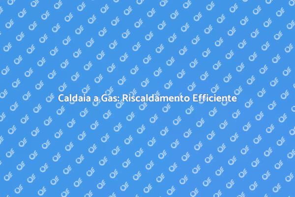Caldaia a Gas: Il Tuo Comfort Domestico