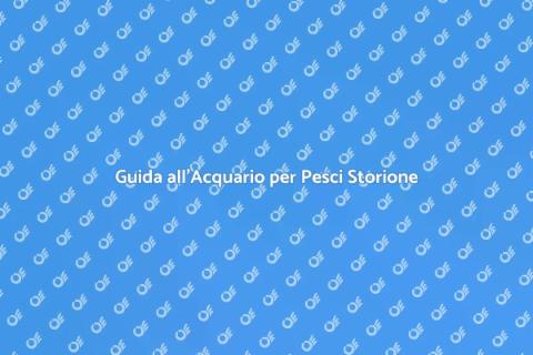 Acquario Ideale per Pesci Storione