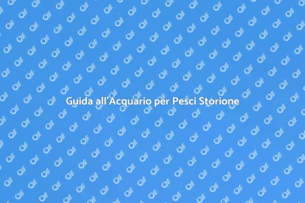 Creare l'Acquario Perfetto per Storioni