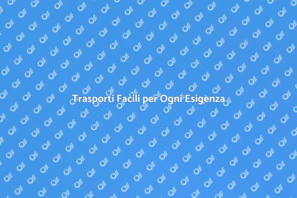 Trasporti Semplificati per Ogni Necessità