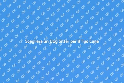 Dog Sitter: Passeggiate per Fido