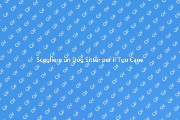 Perché Assumere un Dog Sitter?