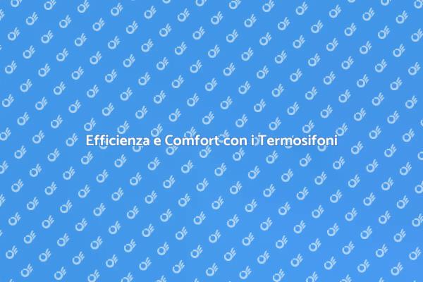 Manutenzione dei Termosifoni Essenziale