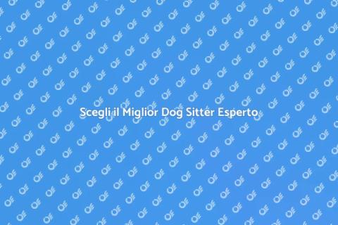 Dog Sitter Esperto per i Tuoi Cani