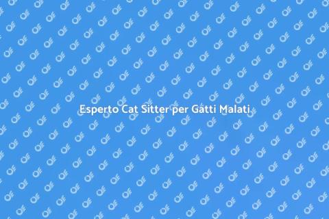 Cat Sitter Esperto per Gatti Malati