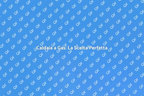 Caldaia a Gas: Comfort e Efficienza