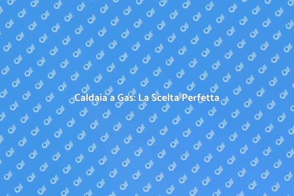 Caldaia a Gas: Efficienza e Comfort