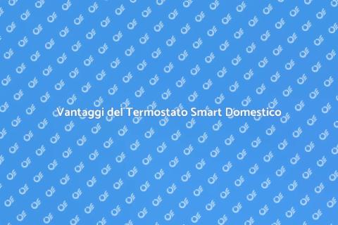 Termostato Smart con Sonda e Assistenza