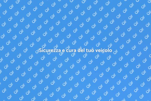 Mantieni il tuo veicolo al sicuro