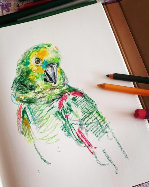 Corsi di disegno e pittura - Foto 2