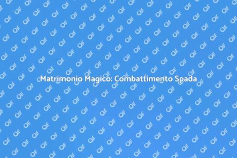Animazione Matrimonio: Combattimento Spada