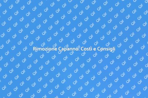 Costo Rimozione Capanno: Guida Completa