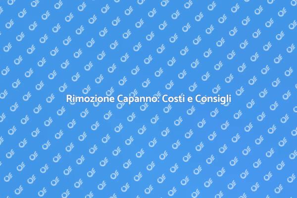 Rimozione Capanno: Cosa Sapere sui Costi