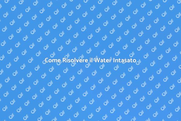 Soluzioni per Water Intasato